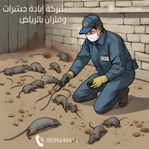 شركة مكافحة الحشرات بالرياض