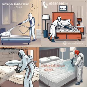 شركة مكافحة الحشرات بالرياض